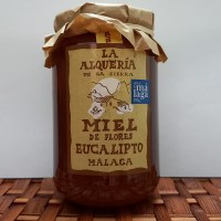 miel eucalipto